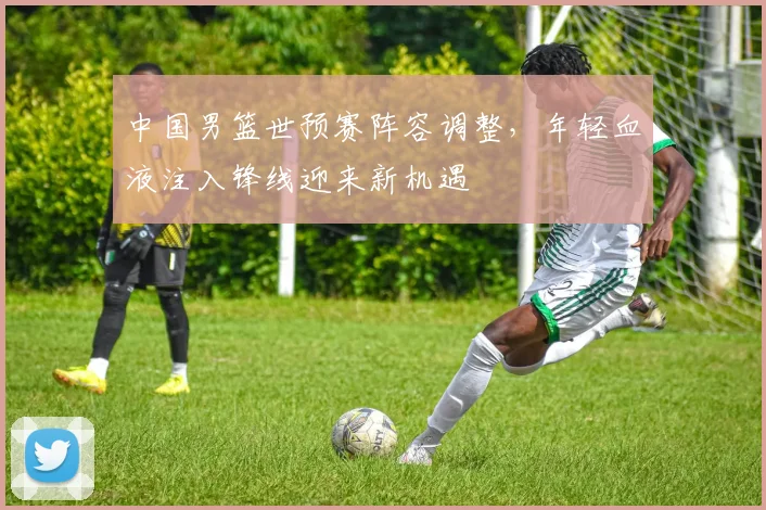中国男篮世预赛阵容调整，年轻血液注入锋线迎来新机遇
